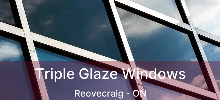  Triple Glaze Windows Reevecraig - ON
