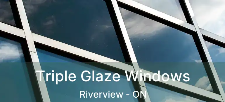  Triple Glaze Windows Riverview - ON