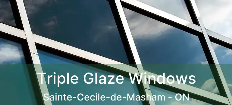  Triple Glaze Windows Sainte-Cecile-de-Masham - ON