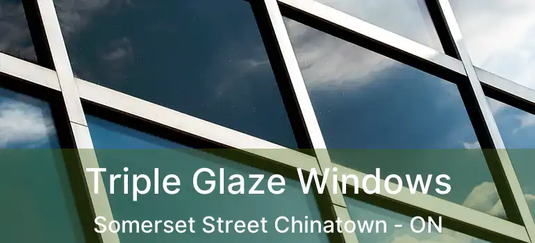  Triple Glaze Windows Somerset Street Chinatown - ON