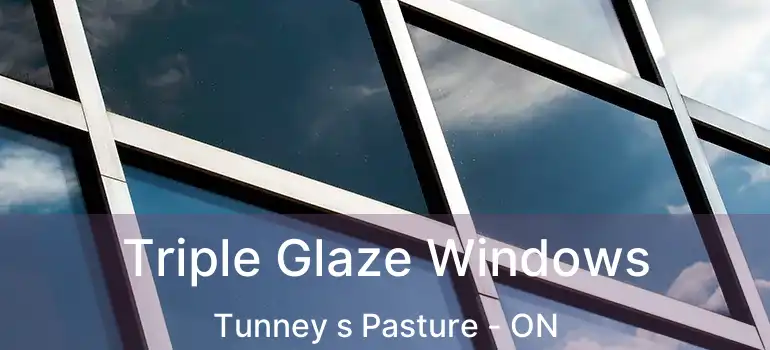  Triple Glaze Windows Tunney s Pasture - ON