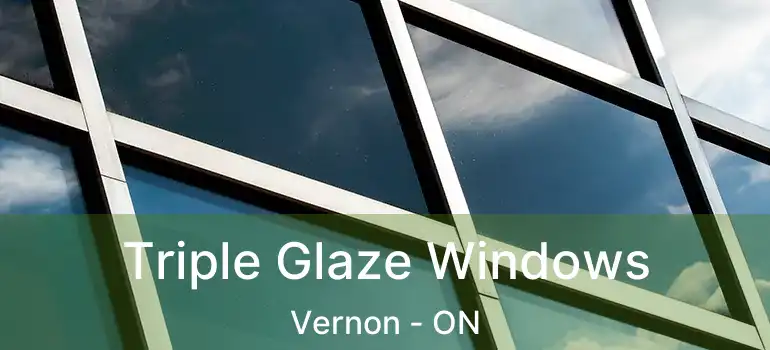  Triple Glaze Windows Vernon - ON