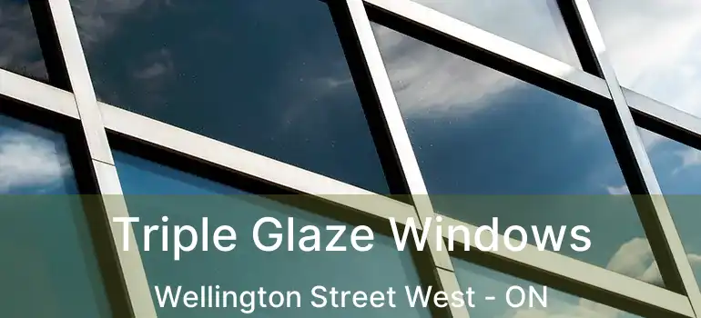  Triple Glaze Windows Wellington Street West - ON