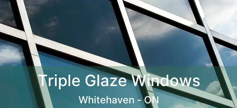  Triple Glaze Windows Whitehaven - ON
