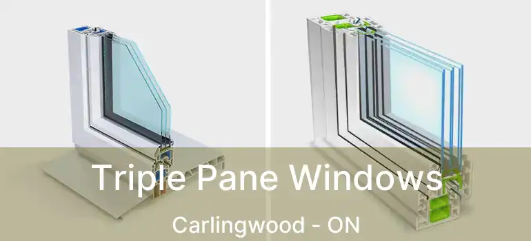 Triple Pane Windows Carlingwood - ON