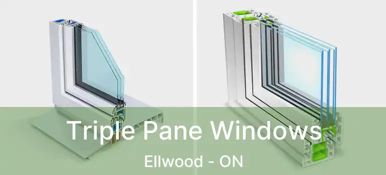 Triple Pane Windows Ellwood - ON