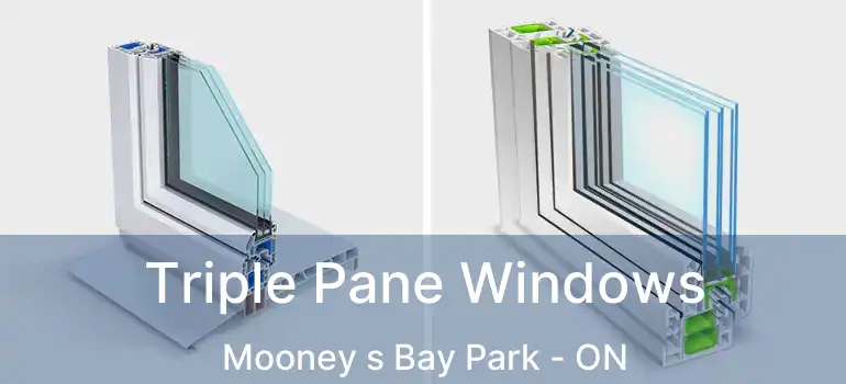 Triple Pane Windows Mooney s Bay Park - ON