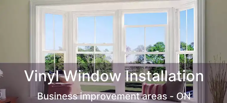 Vinyl Window Installation Business improvement areas - ON