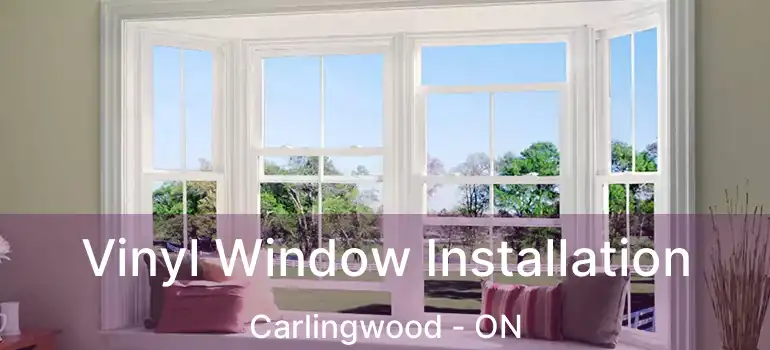 Vinyl Window Installation Carlingwood - ON