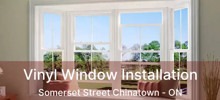 Vinyl Window Installation Somerset Street Chinatown - ON