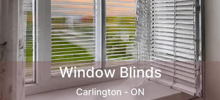  Window Blinds Carlington - ON