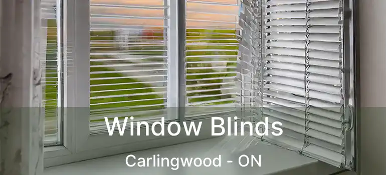  Window Blinds Carlingwood - ON