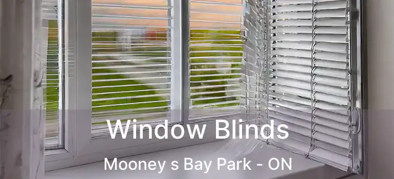  Window Blinds Mooney s Bay Park - ON