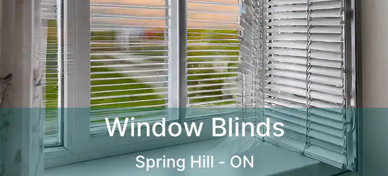 Window Blinds Spring Hill - ON