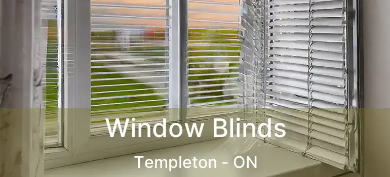  Window Blinds Templeton - ON