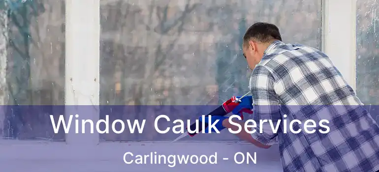  Window Caulk Services Carlingwood - ON