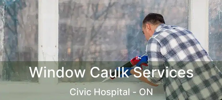  Window Caulk Services Civic Hospital - ON
