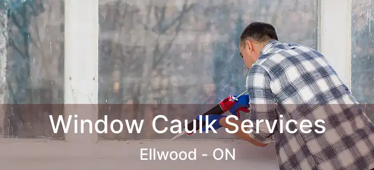 Window Caulk Services Ellwood - ON