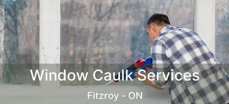 Window Caulk Services Fitzroy - ON