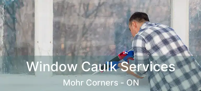 Window Caulk Services Mohr Corners - ON