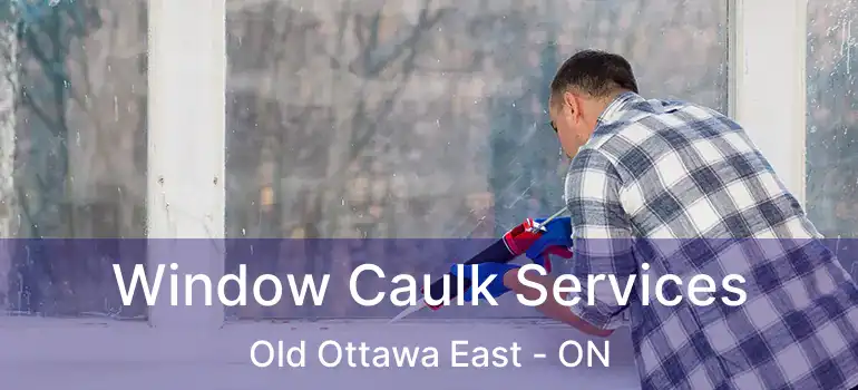  Window Caulk Services Old Ottawa East - ON