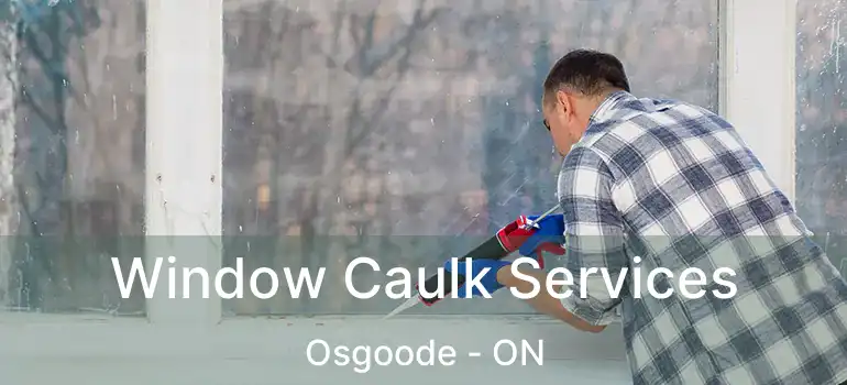 Window Caulk Services Osgoode - ON