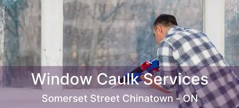 Window Caulk Services Somerset Street Chinatown - ON
