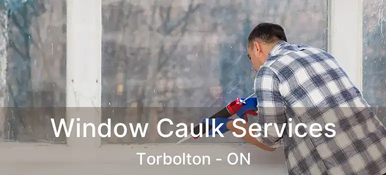 Window Caulk Services Torbolton - ON