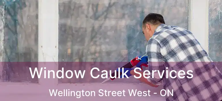  Window Caulk Services Wellington Street West - ON