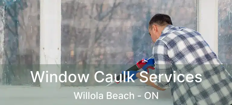 Window Caulk Services Willola Beach - ON