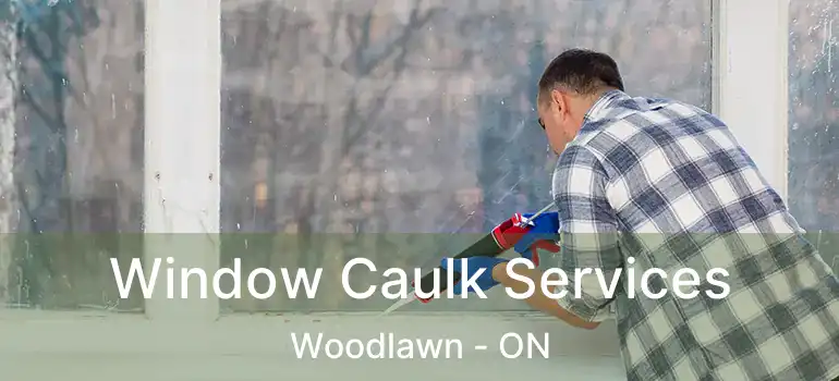 Window Caulk Services Woodlawn - ON
