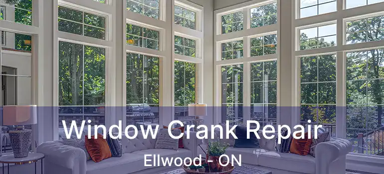  Window Crank Repair Ellwood - ON