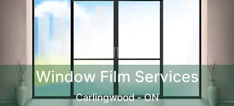 Window Film Services Carlingwood - ON
