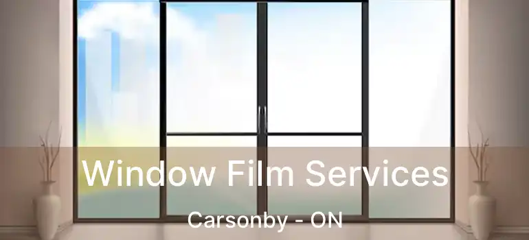  Window Film Services Carsonby - ON