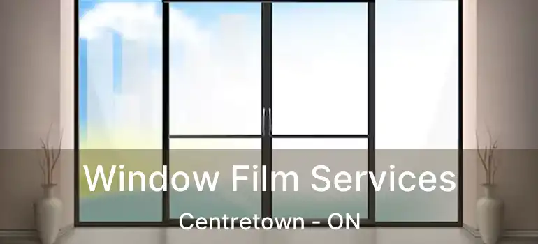  Window Film Services Centretown - ON