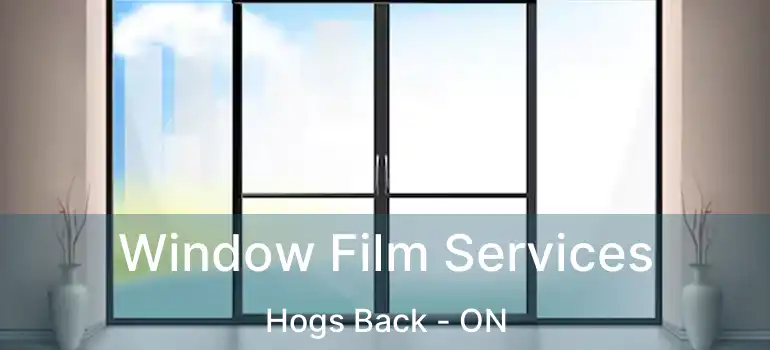 Window Film Services Hogs Back - ON