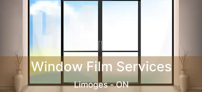 Window Film Services Limoges - ON