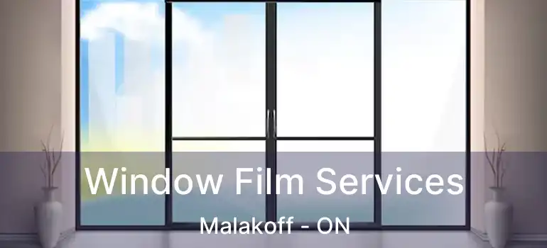  Window Film Services Malakoff - ON
