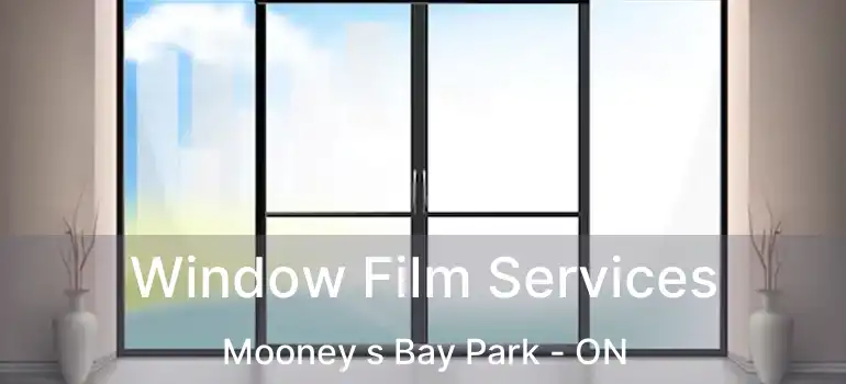 Window Film Services Mooney s Bay Park - ON