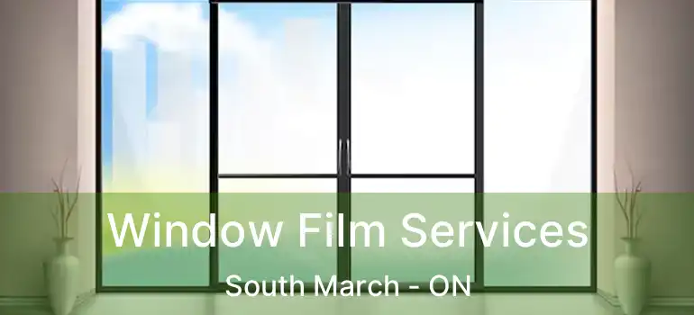 Window Film Services South March - ON