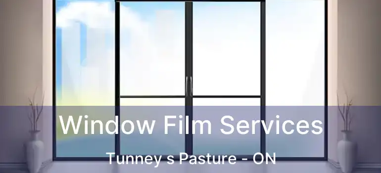 Window Film Services Tunney s Pasture - ON