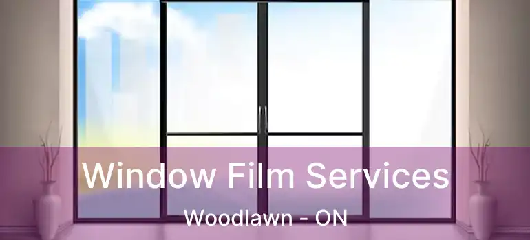 Window Film Services Woodlawn - ON