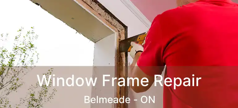  Window Frame Repair Belmeade - ON