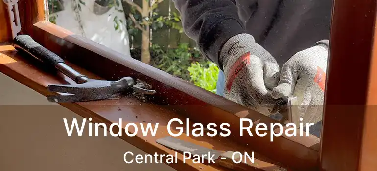 Window Glass Repair Central Park - ON
