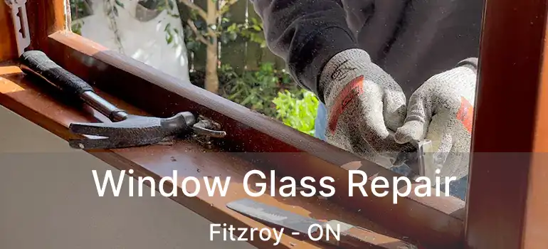 Window Glass Repair Fitzroy - ON
