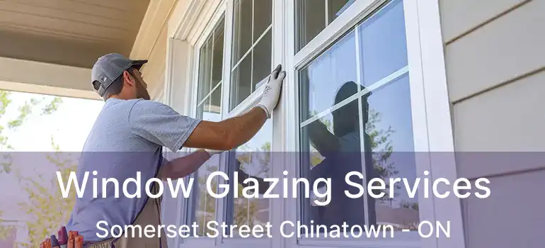  Window Glazing Services Somerset Street Chinatown - ON