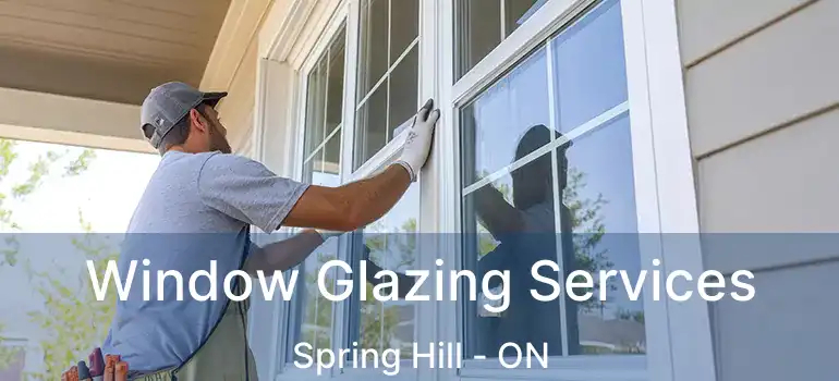 Window Glazing Services Spring Hill - ON