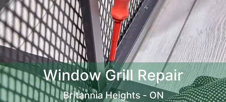  Window Grill Repair Britannia Heights - ON