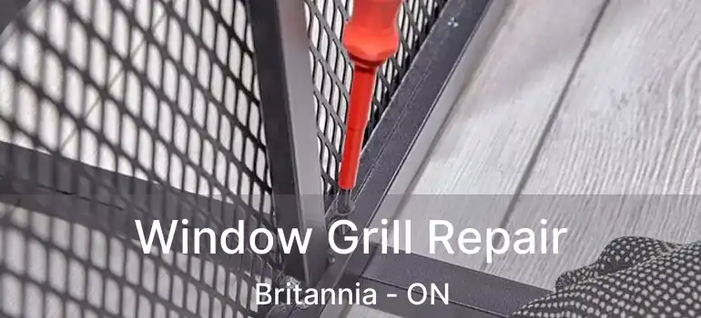 Window Grill Repair Britannia - ON