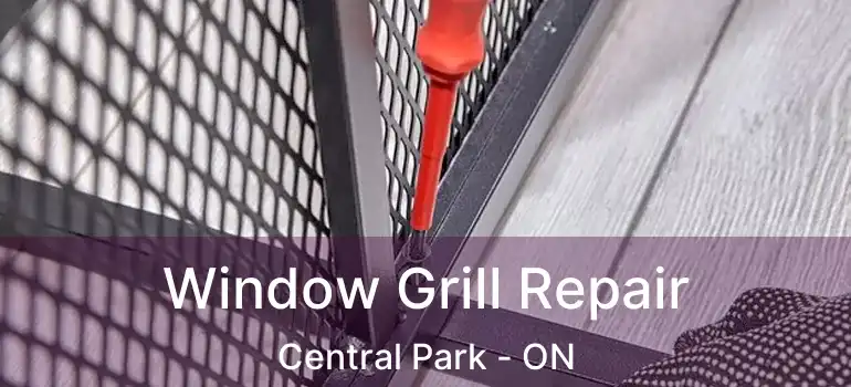  Window Grill Repair Central Park - ON